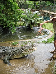 132 Cairns Tropical Zoo
